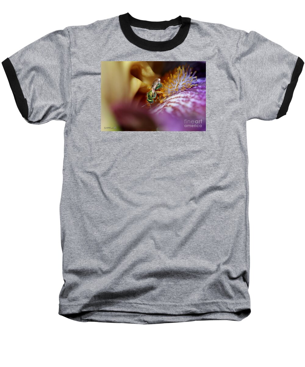 Mccombie Baseball T-Shirt featuring the photograph Tall Bearded Iris named Final Episode #1 by J McCombie