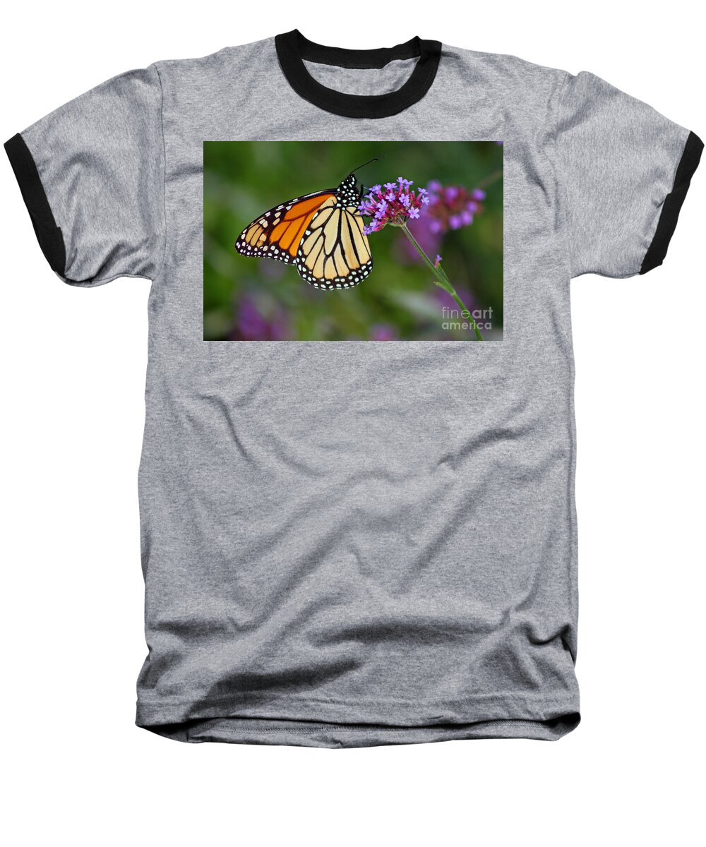 Monarch Baseball T-Shirt featuring the photograph Monarch Butterfly in Garden #2 by Karen Adams