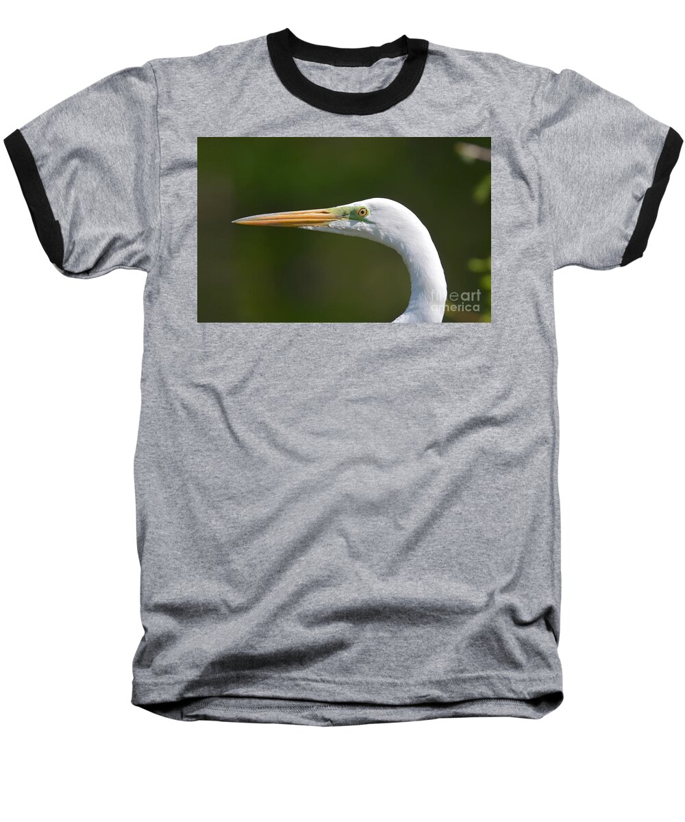 Great White Egret Baseball T-Shirt featuring the photograph A Beautiful Face by Kathy Baccari