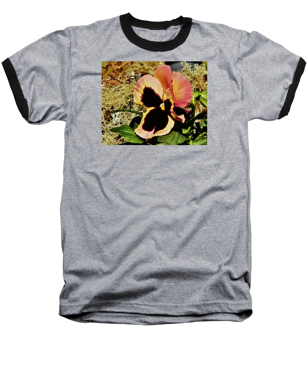 Flower Baseball T-Shirt featuring the photograph A Charming Pansy by VLee Watson