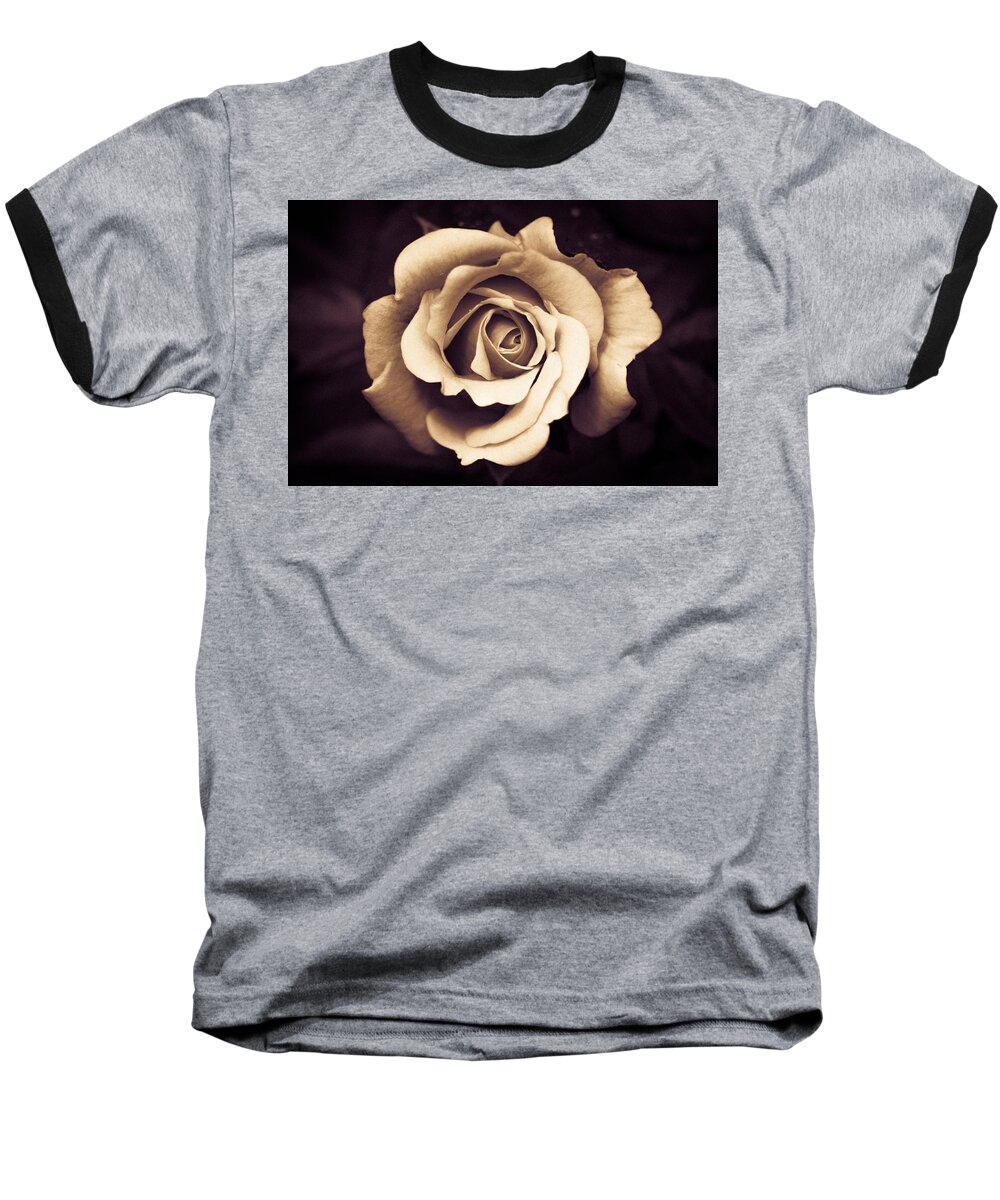 2014 Baseball T-Shirt featuring the photograph A Chocolate Raspberry Rose by Wade Brooks