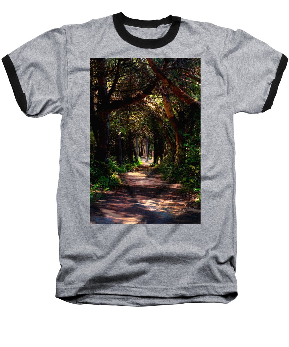 Forest Baseball T-Shirt featuring the photograph A Forest Path -Dungeness Spit - Sequim Washington by Marie Jamieson