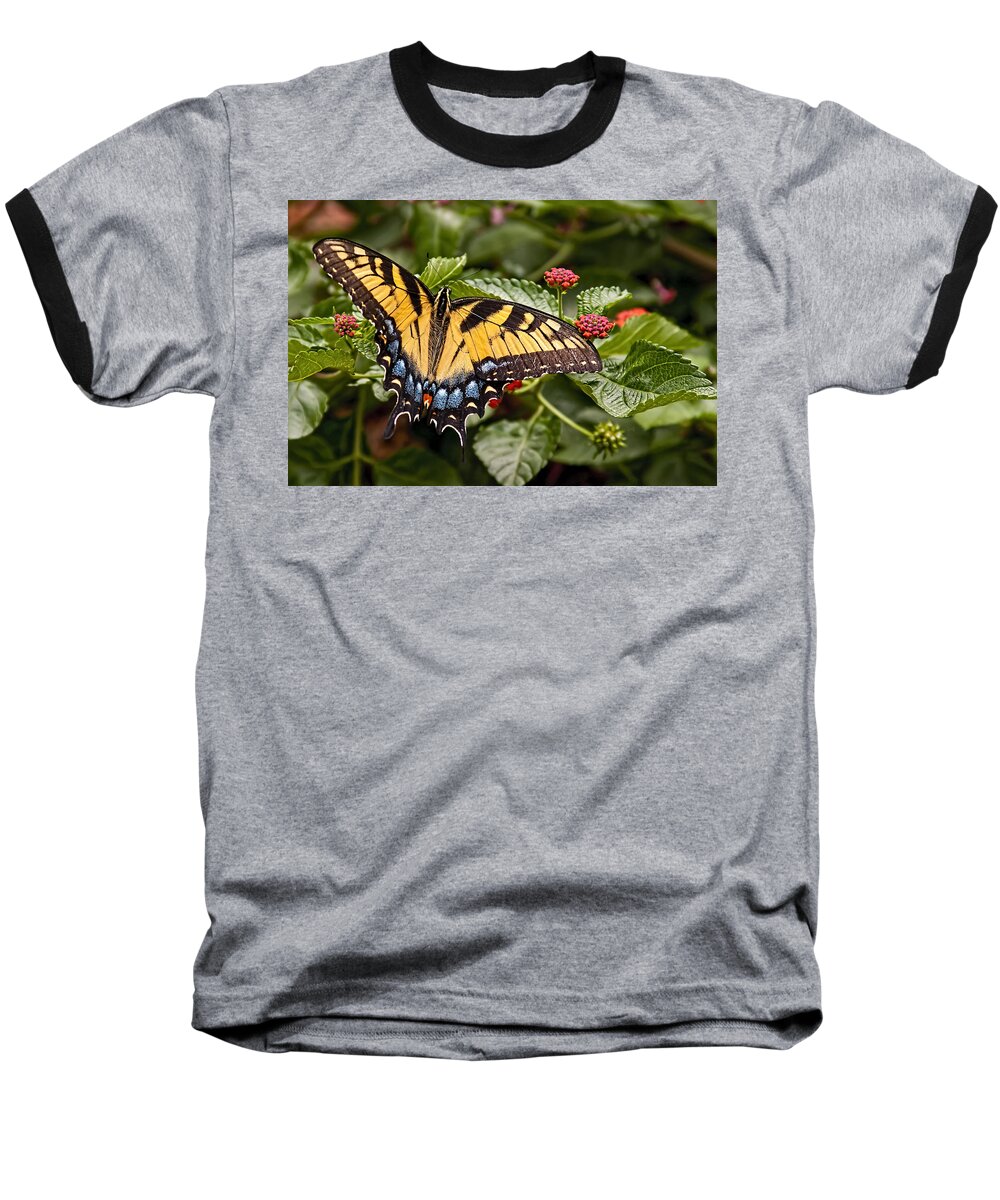 Animal Baseball T-Shirt featuring the photograph A Moments Rest by Penny Lisowski