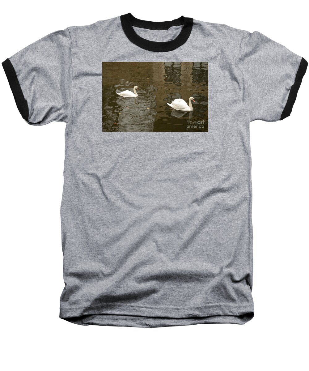 Swans Baseball T-Shirt featuring the photograph A pair of swans Bruges Belgium by Imran Ahmed