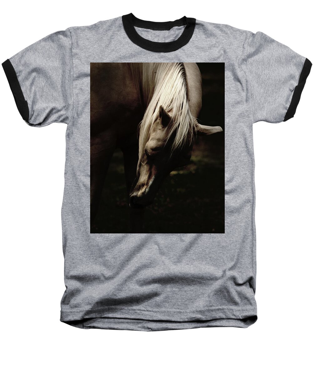 Horse Baseball T-Shirt featuring the photograph A Pale Horse by Joseph G Holland