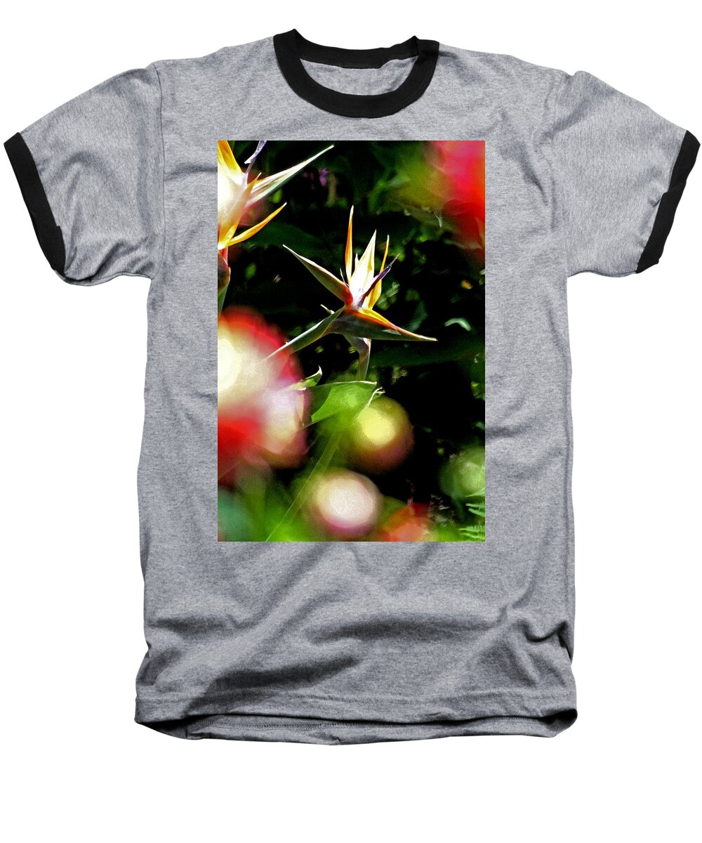 Bird Of Paridise Baseball T-Shirt featuring the photograph A Paridise by Joseph Coulombe