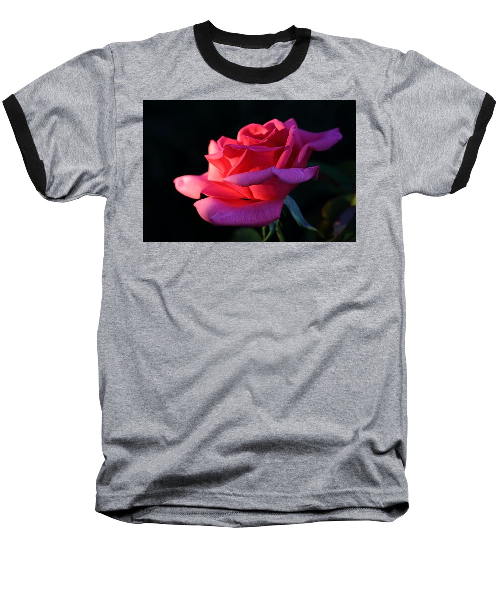 Blossom Baseball T-Shirt featuring the photograph A Rose is a Rose by David Andersen