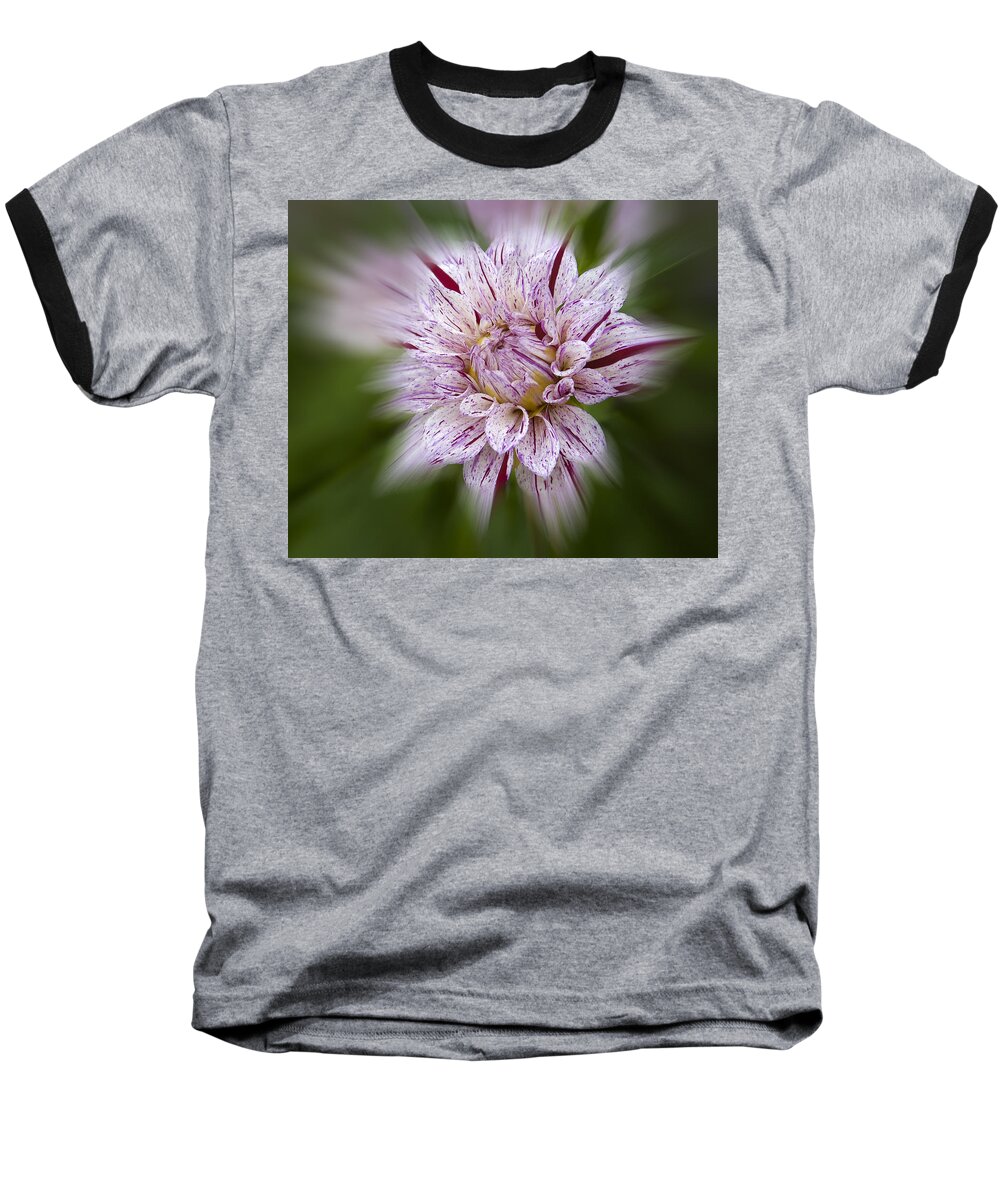 Flowers Baseball T-Shirt featuring the photograph A Taste of Wine by Penny Lisowski