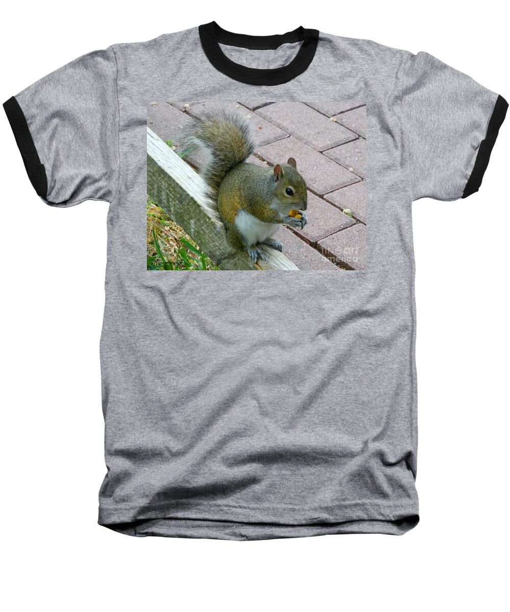 Squirrel Baseball T-Shirt featuring the photograph A Two-Nut Lunch by Mariarosa Rockefeller