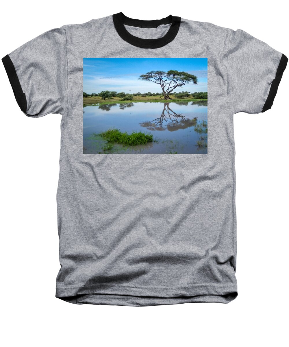 100324 Botswana & Zimbabwe Expeditions Baseball T-Shirt featuring the photograph Acacia Tree by Gregory Daley MPSA