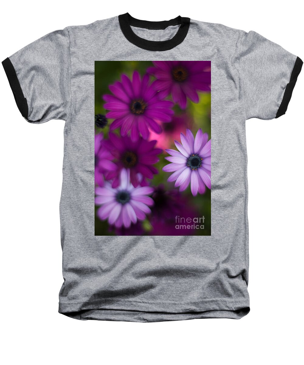 Flower Baseball T-Shirt featuring the photograph African Daisy Collage by Mike Reid
