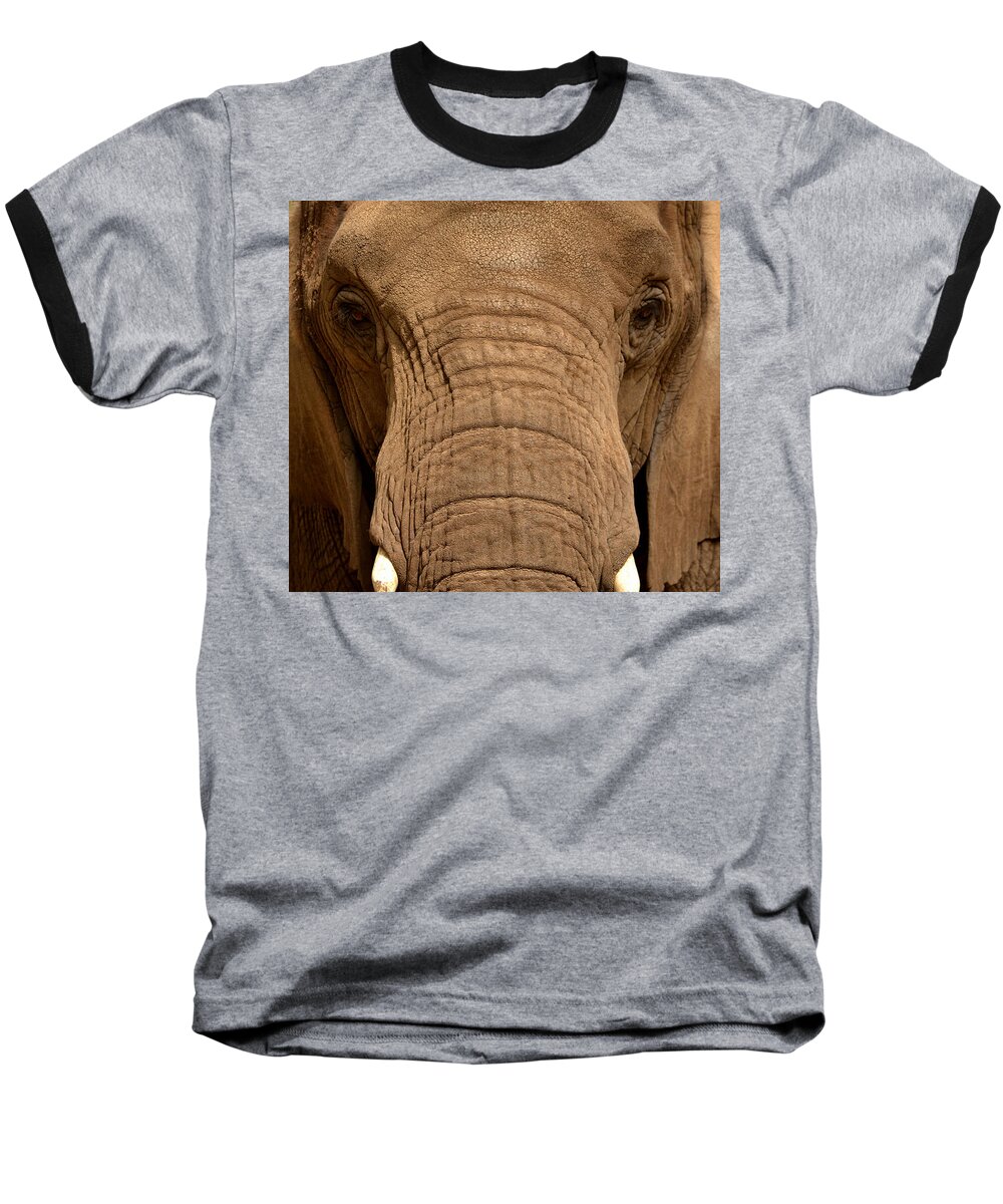 Elephant Baseball T-Shirt featuring the photograph African Elephant by Nadalyn Larsen