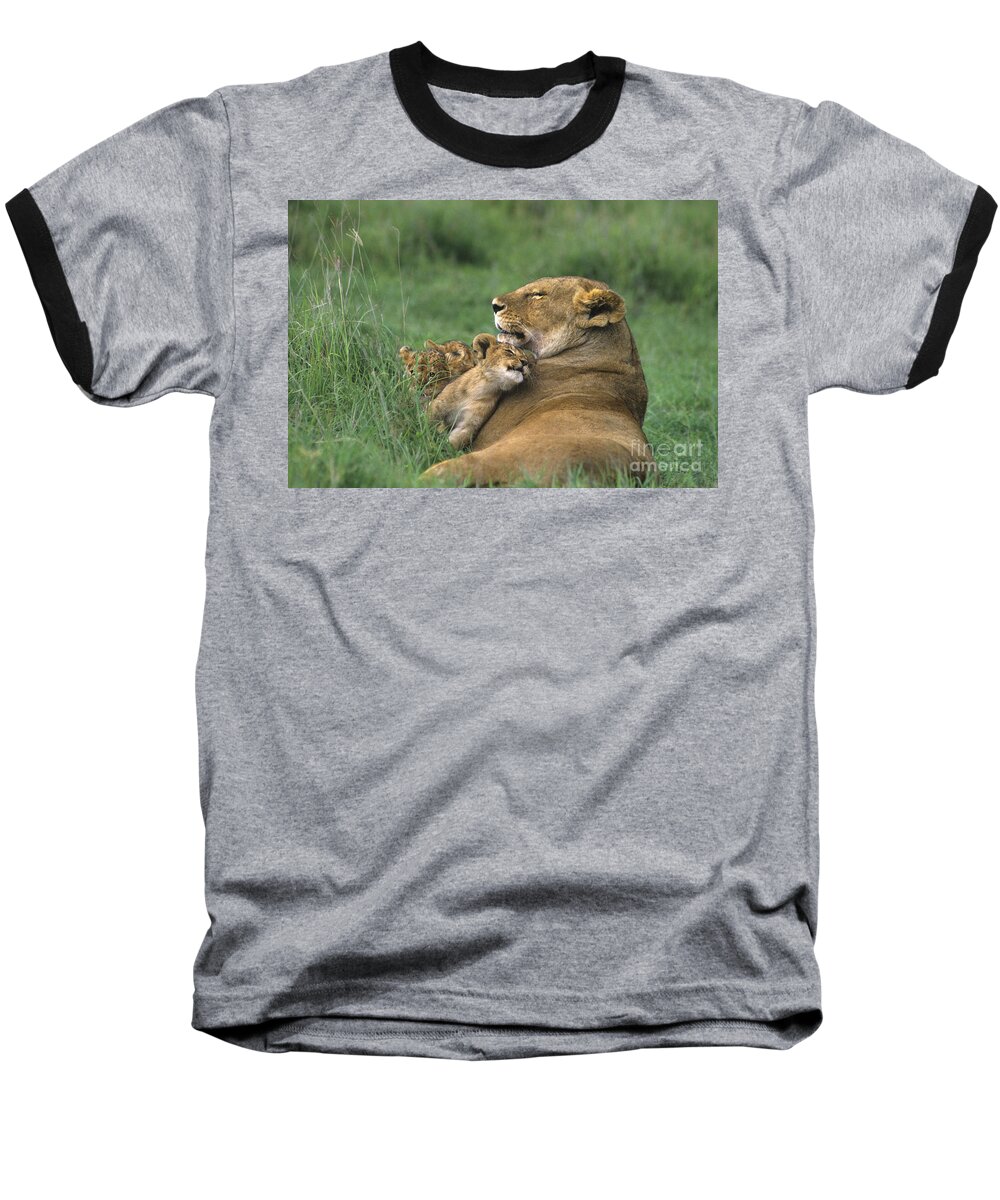 Africa Baseball T-Shirt featuring the photograph African Lions Mother and Cubs Tanzania by Dave Welling