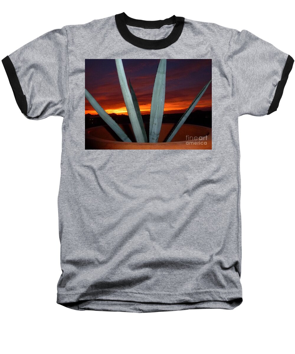 Potted Baseball T-Shirt featuring the photograph Agave at Sunset by Barbie Corbett-Newmin
