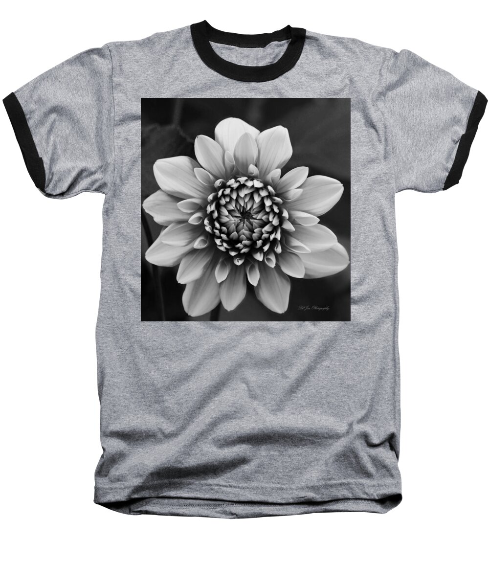 Dahlia Baseball T-Shirt featuring the photograph Ala Mode Dahlia In Black and White by Jeanette C Landstrom