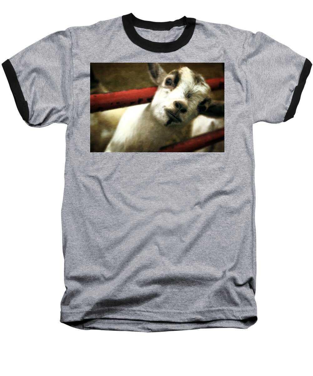 Nose Baseball T-Shirt featuring the photograph All in the Attitude by Michelle Calkins