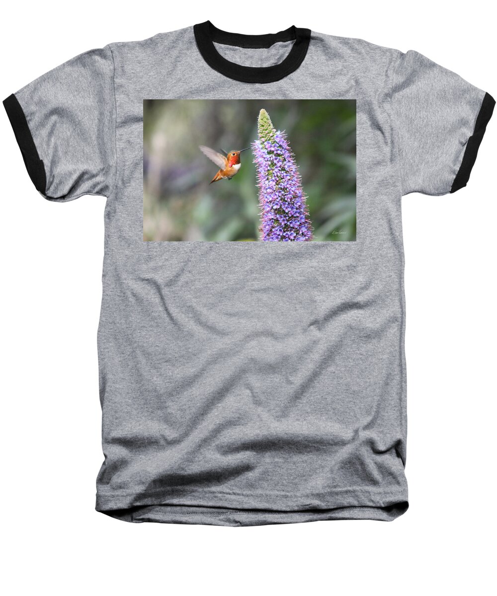 Allen Baseball T-Shirt featuring the photograph Allen Hummingbird on Flower by Diana Haronis