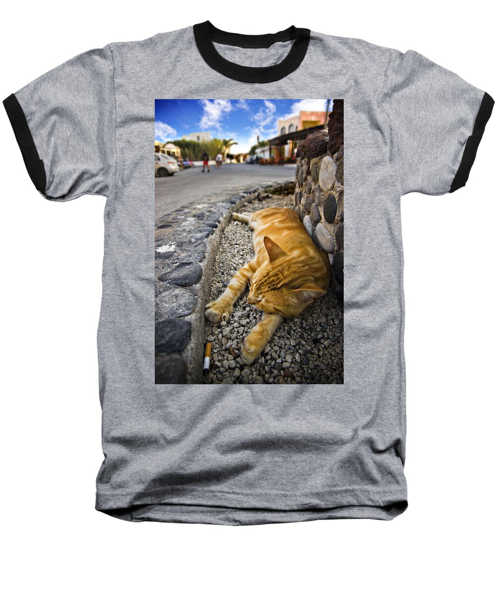 Ginger Baseball T-Shirt featuring the photograph Alley Cat Siesta by Meirion Matthias