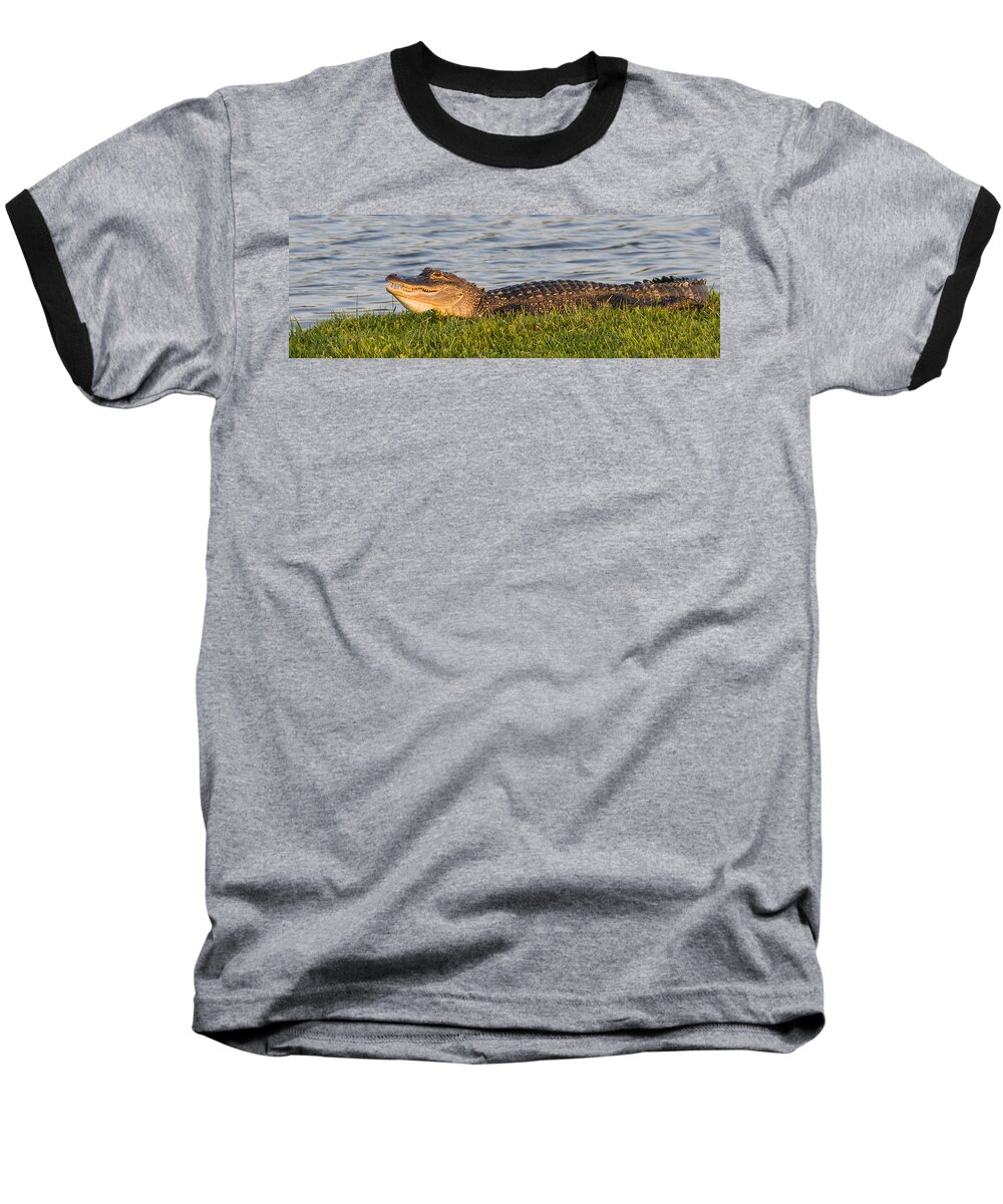 Alligator Baseball T-Shirt featuring the photograph Alligator Smile by Ed Gleichman