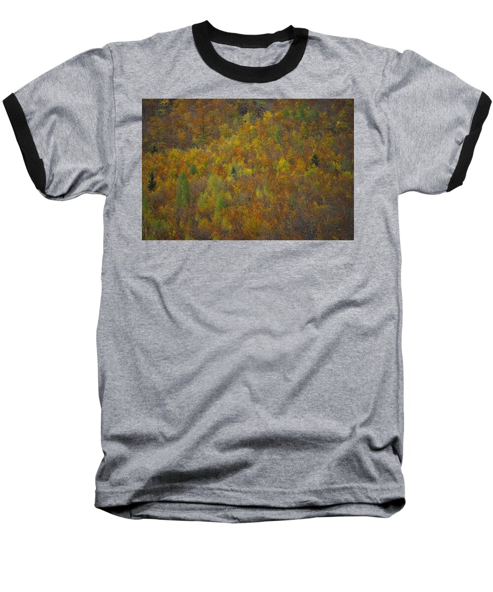 Abstract Baseball T-Shirt featuring the photograph Amazing autumn colors by Ivan Slosar