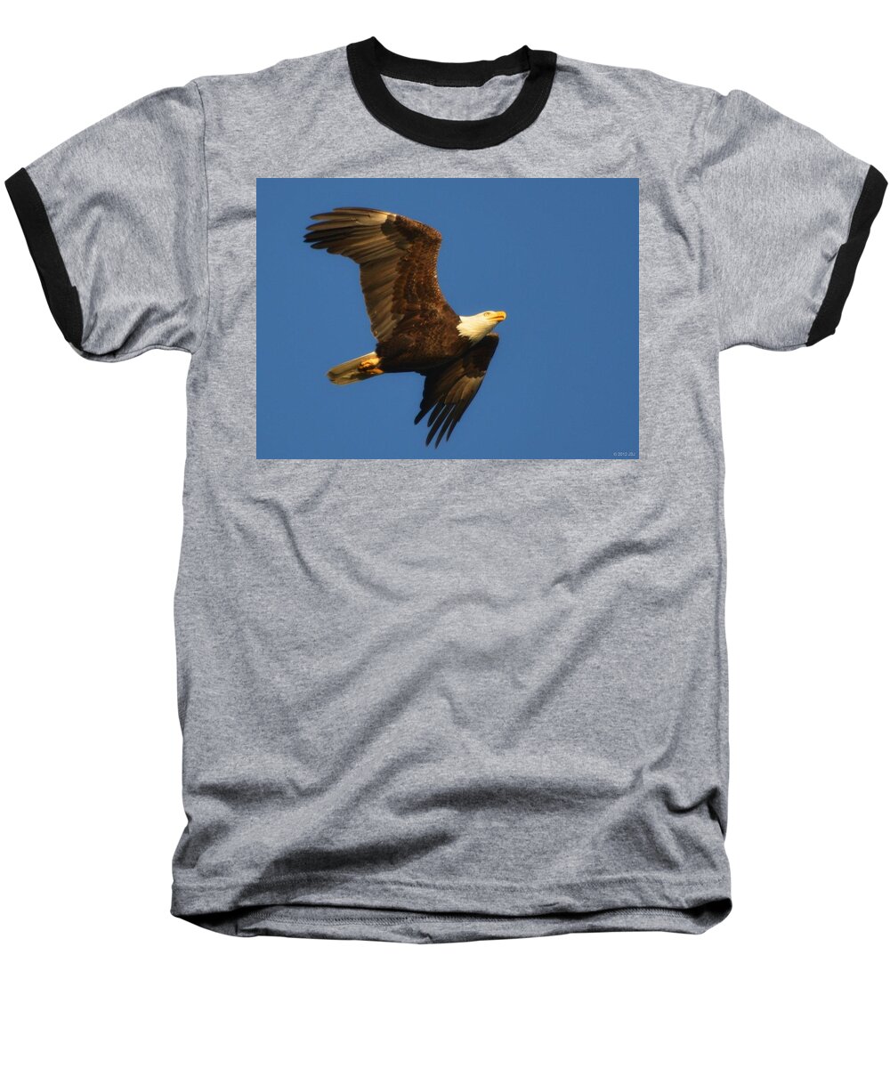 American Baseball T-Shirt featuring the photograph American Bald Eagle Close-ups over Santa Rosa Sound with Blue Skies by Jeff at JSJ Photography