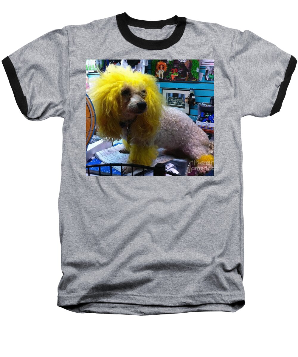 Dog Poodle Mans Best Friend New Orleans Crescent City Pet French Quarter Dog Adorable Blonde Dog White Dog Small Dog Baseball T-Shirt featuring the photograph Andrew the Poodle by Saundra Myles