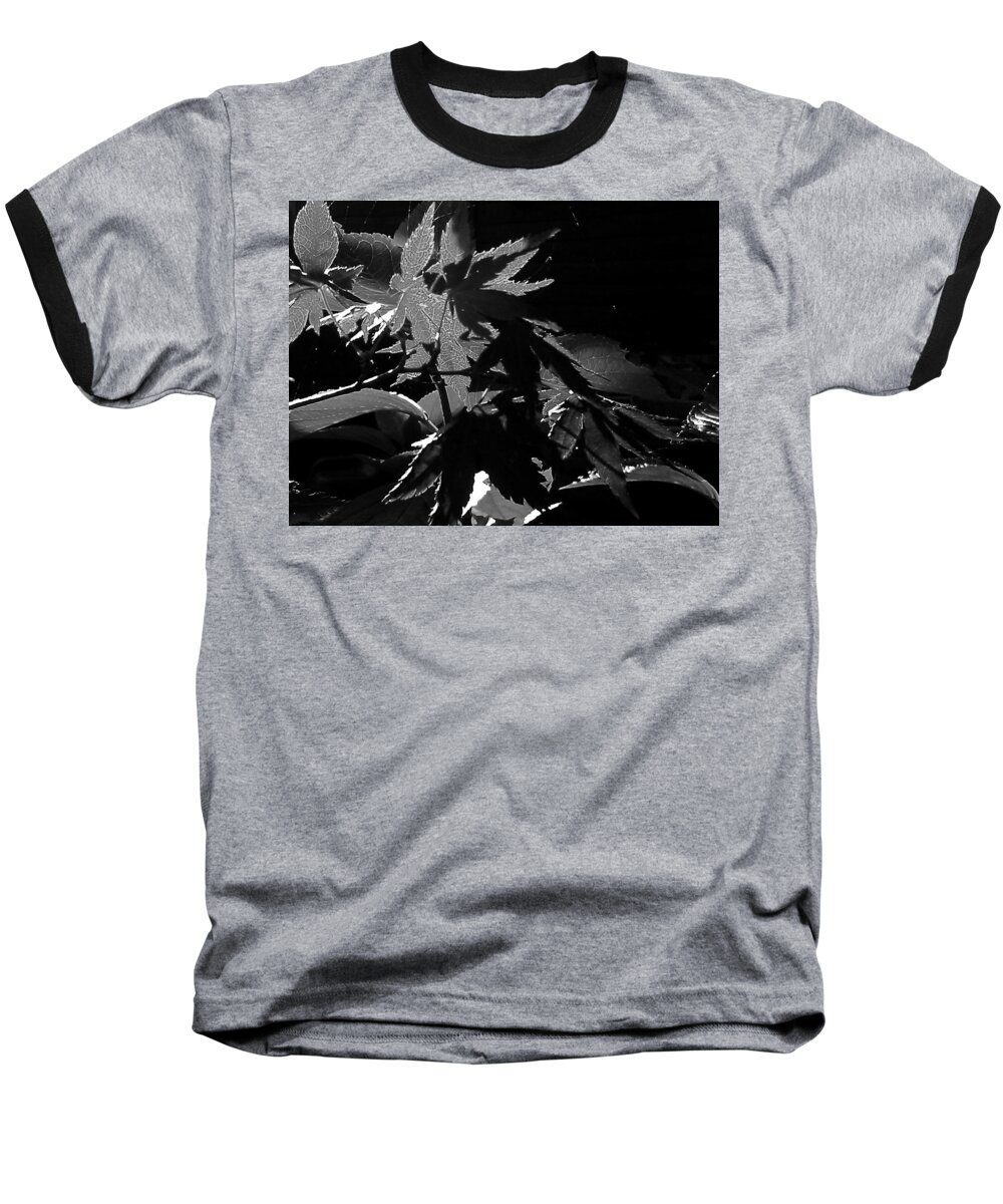 Japanese Baseball T-Shirt featuring the photograph Angels or Dragons b/w by Martin Howard
