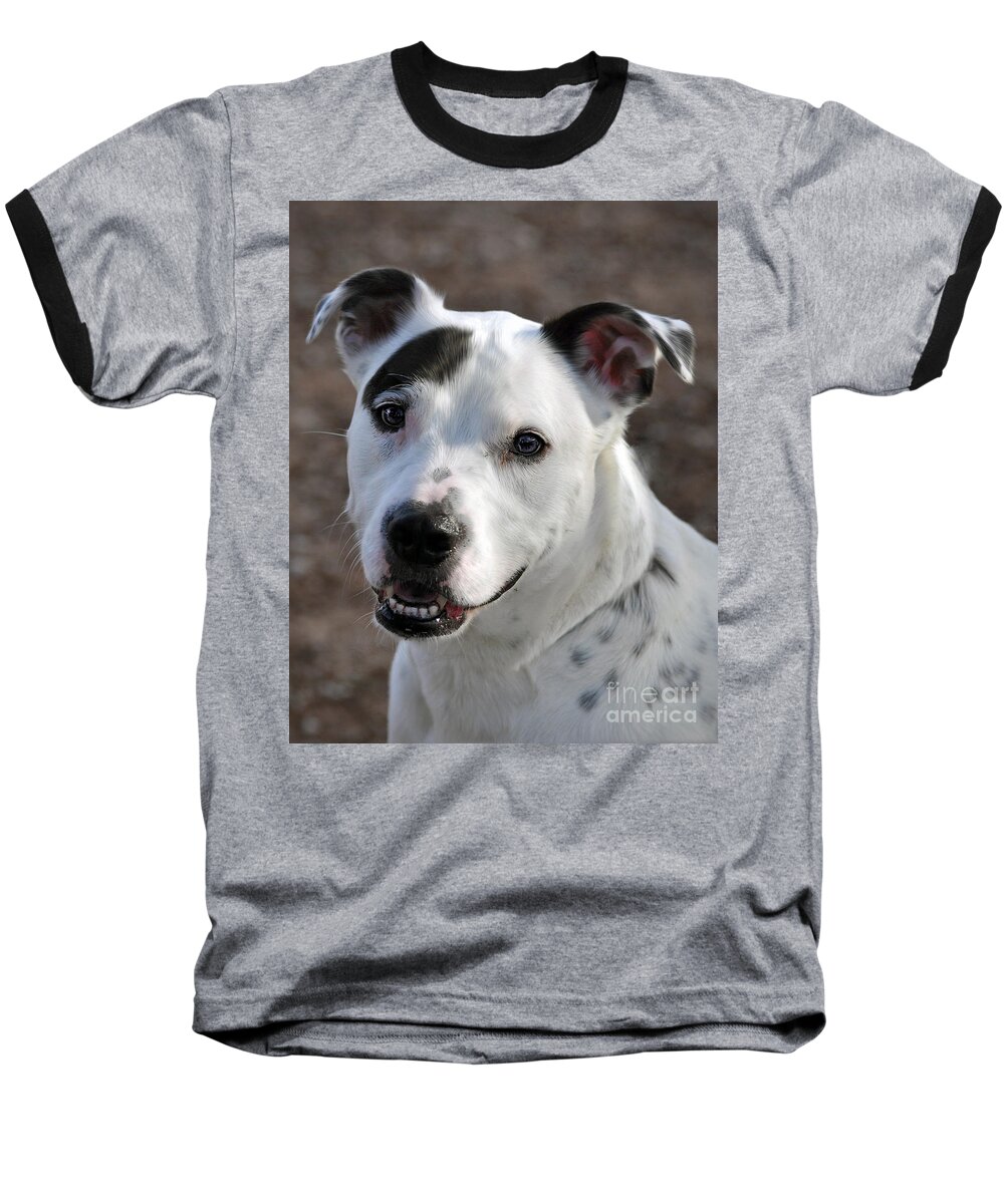 Portrait Baseball T-Shirt featuring the photograph Are You Looking At Me? by Savannah Gibbs