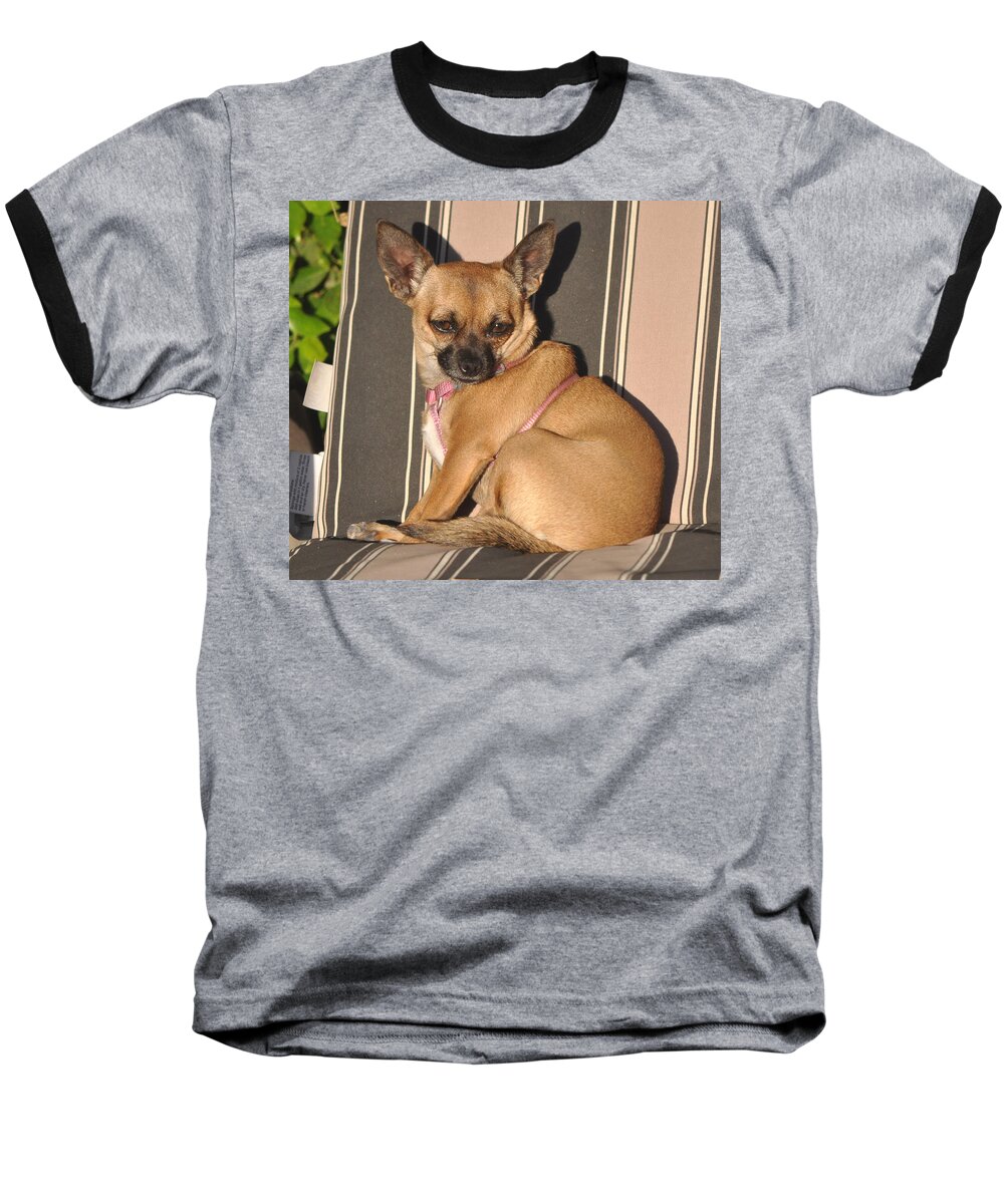 Animal Baseball T-Shirt featuring the photograph Are You Talking To Me by Jay Milo