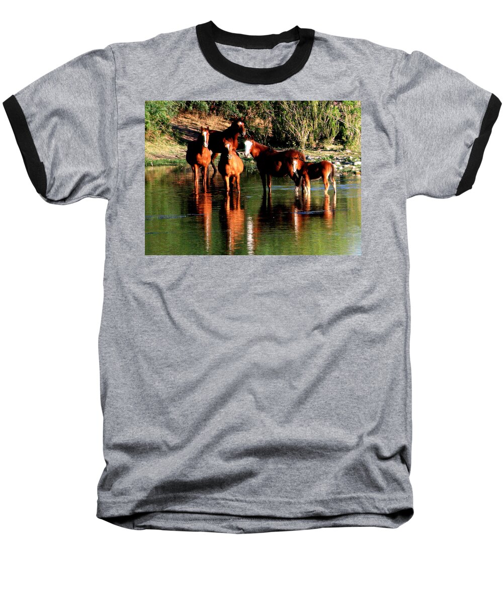 Wild Horses Baseball T-Shirt featuring the photograph Arizona Wild Horses by Matalyn Gardner