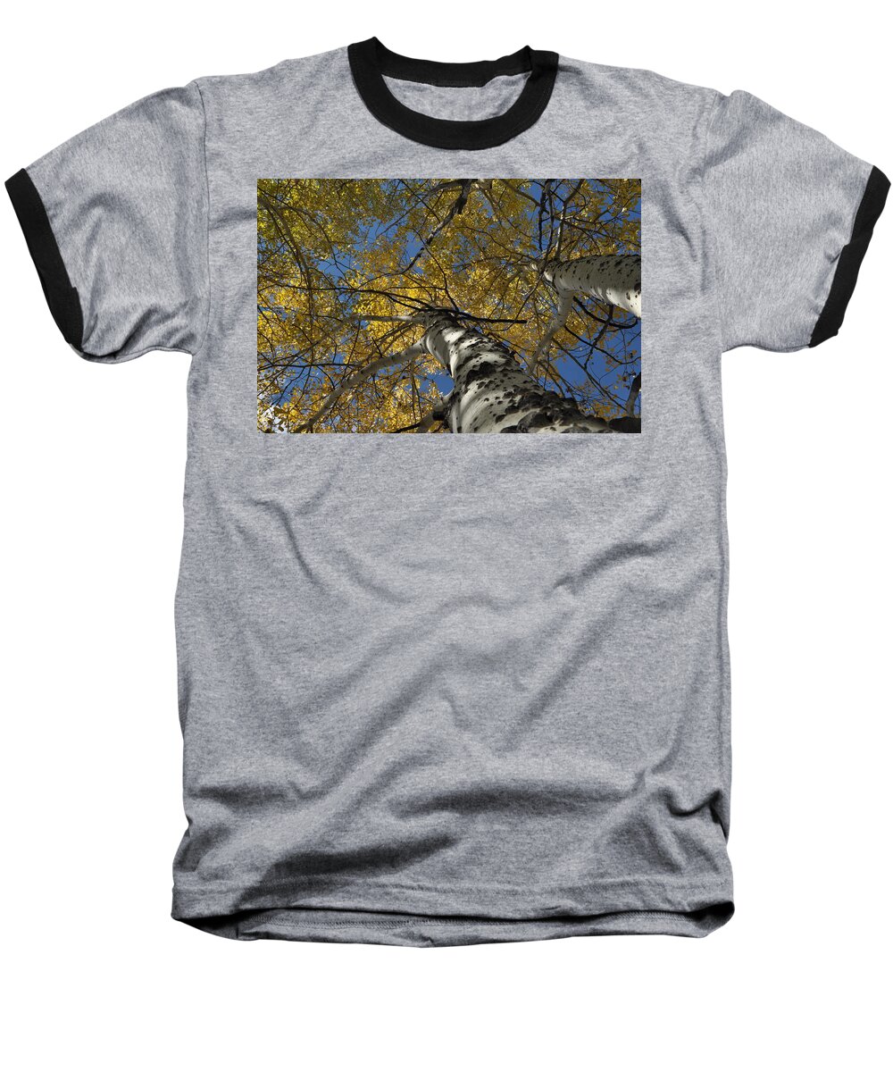 Gold Baseball T-Shirt featuring the photograph Fall Aspen #2 by Frank Madia