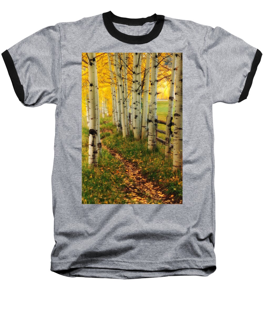 Aspen Baseball T-Shirt featuring the photograph Aspen Path by Ronda Kimbrow
