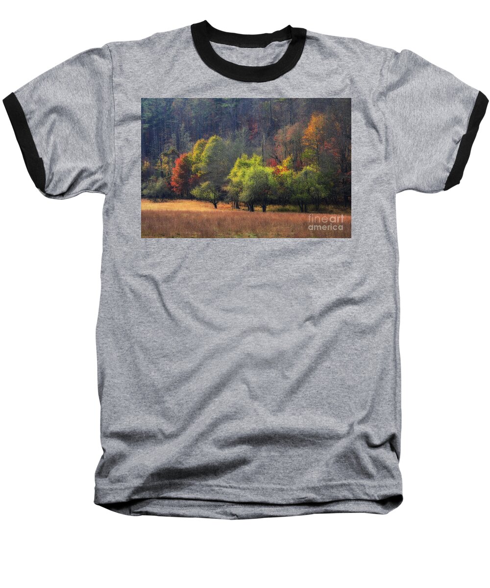 Autumn Field Baseball T-Shirt featuring the photograph Autumn Field by Jill Lang