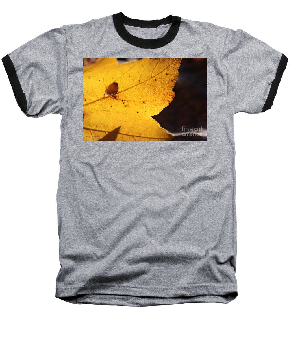 Nature Baseball T-Shirt featuring the photograph Autumn No. 3 by Todd Blanchard