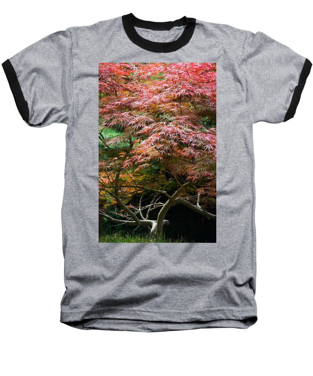 Autumn Baseball T-Shirt featuring the photograph Autumn Is Here by Parker Cunningham