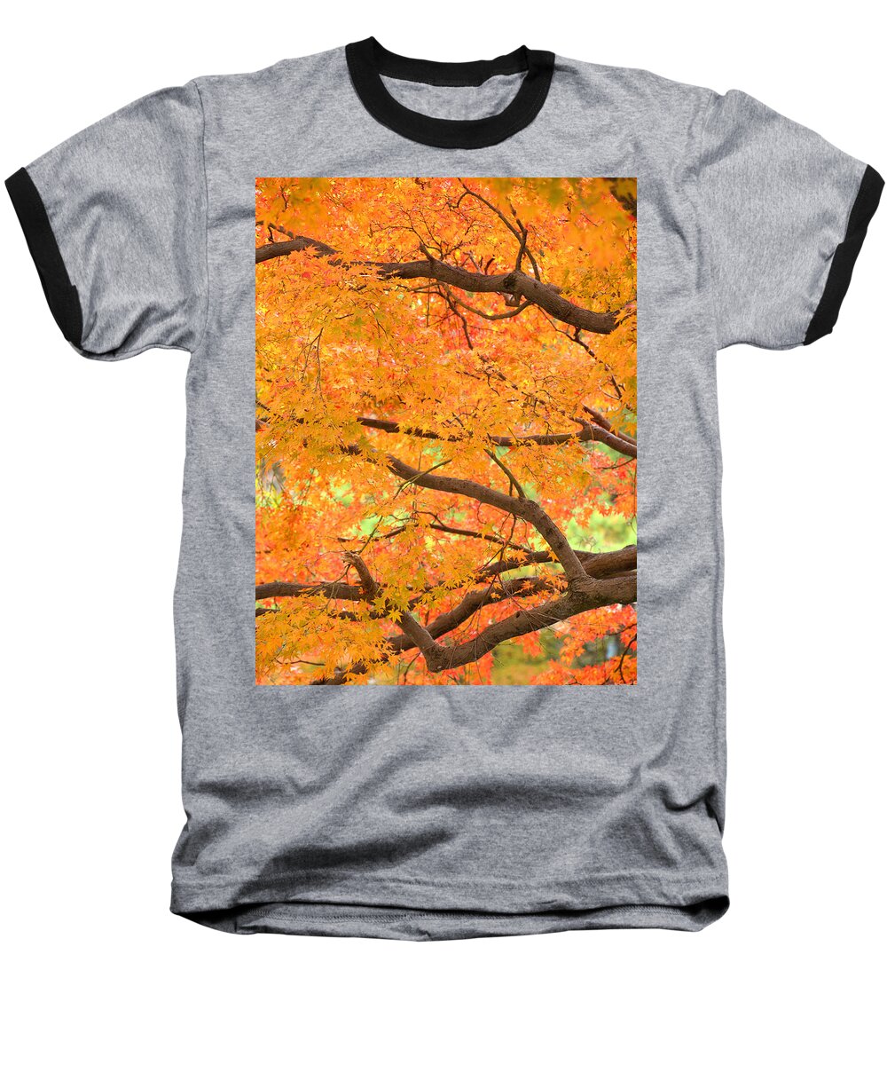 Autumn Baseball T-Shirt featuring the photograph Autumn Leaves by Yuka Kato