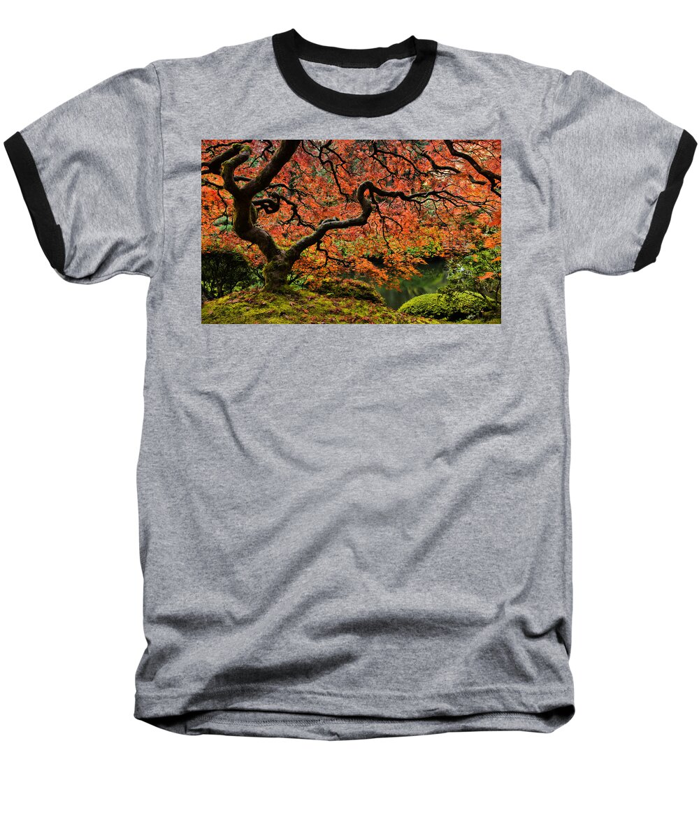 Asian Baseball T-Shirt featuring the photograph Autumn Magnificence by Don Schwartz