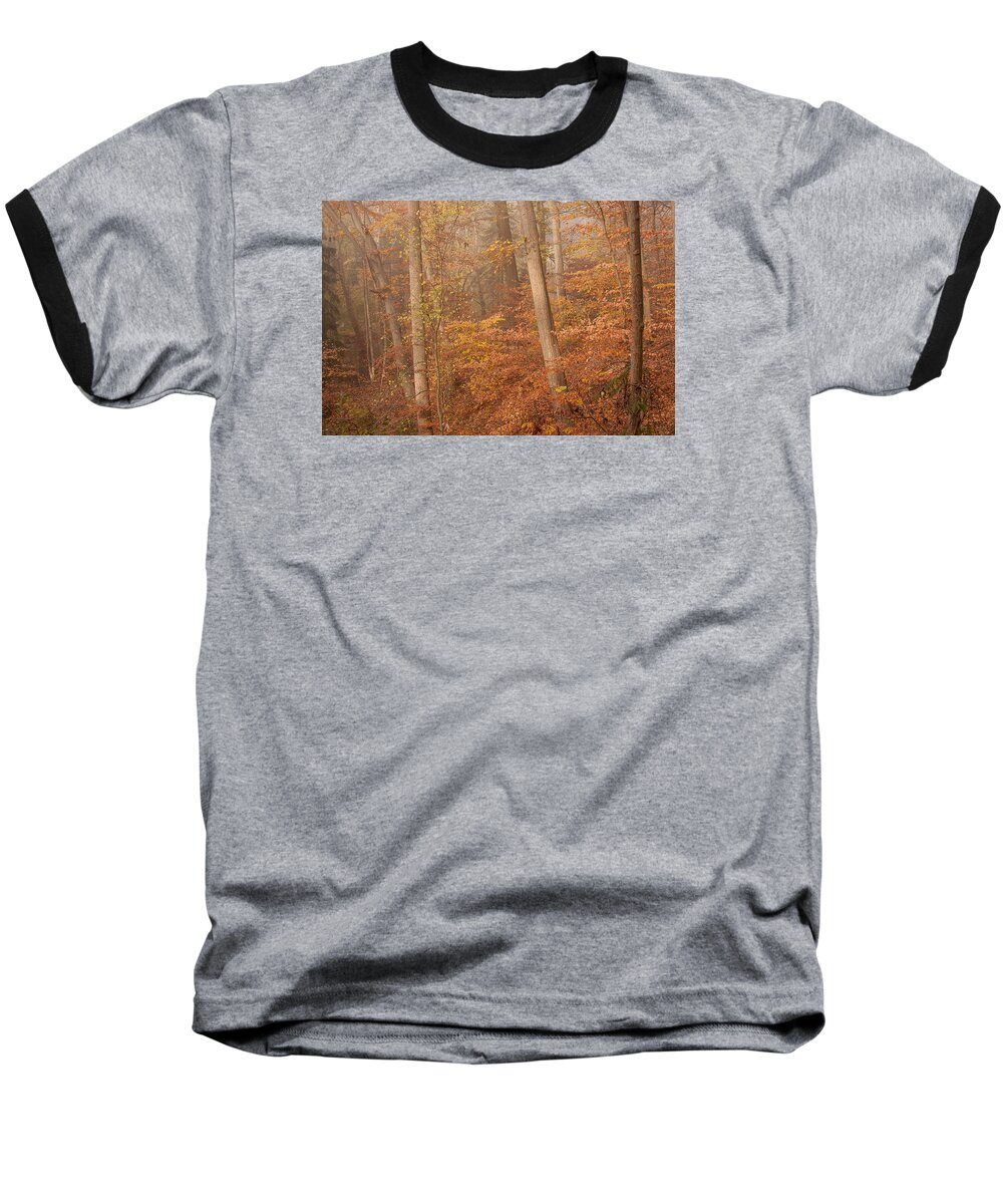 Landscape Baseball T-Shirt featuring the photograph Autumn Mist by Patrice Zinck