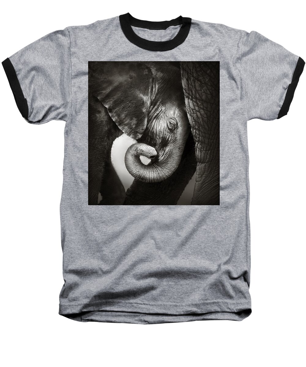 Elephant Baseball T-Shirt featuring the photograph Baby elephant seeking comfort by Johan Swanepoel