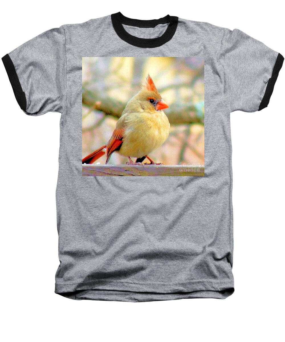 Baby Baseball T-Shirt featuring the photograph Baby Female Cardinal by Janette Boyd