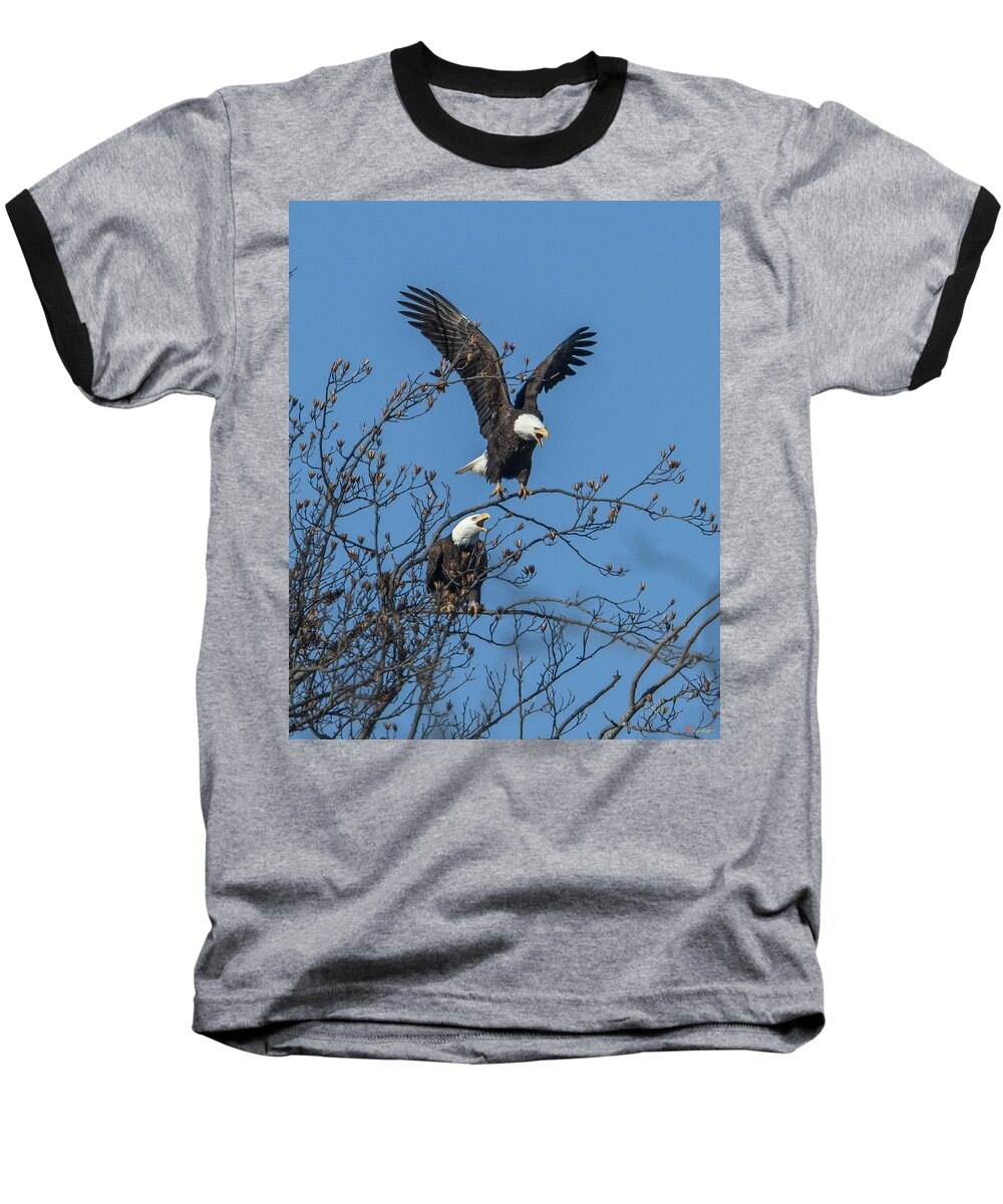 Marsh Baseball T-Shirt featuring the photograph Bald Eagles Screaming DRB169 by Gerry Gantt