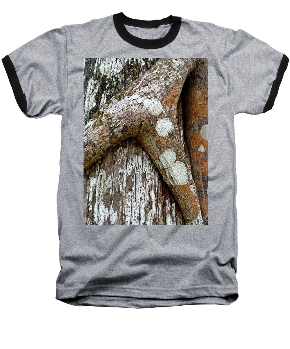 Tree Bark Baseball T-Shirt featuring the digital art Bark Textures 1 by Maria Huntley