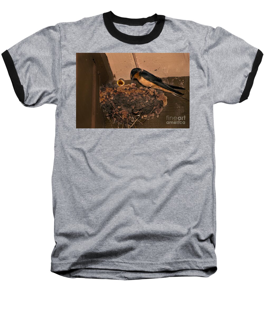 Barn Swallow Baseball T-Shirt featuring the photograph Barn Swallow by Ron Sanford