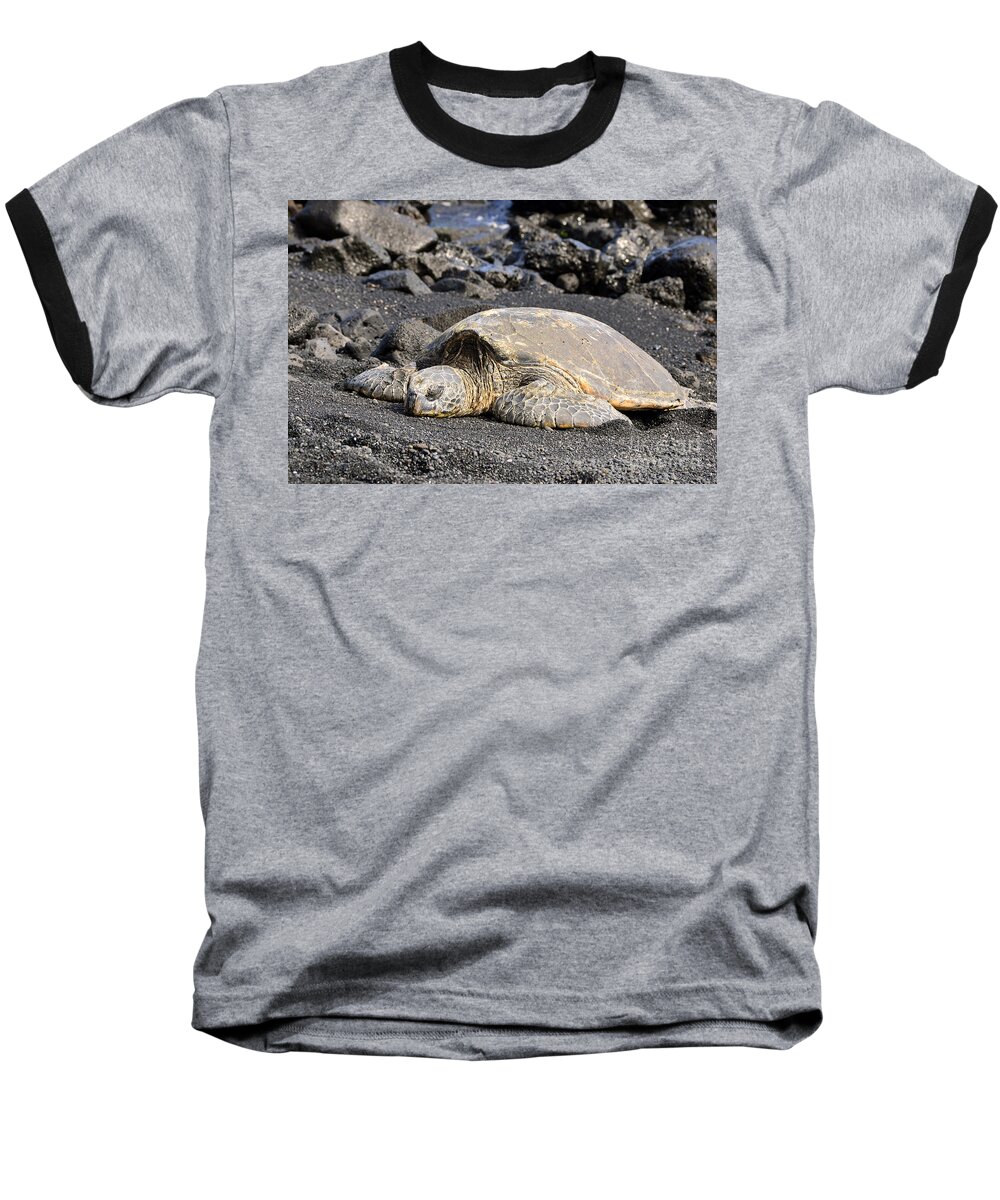  Turtle Baseball T-Shirt featuring the photograph Basking in the Sun by David Lawson
