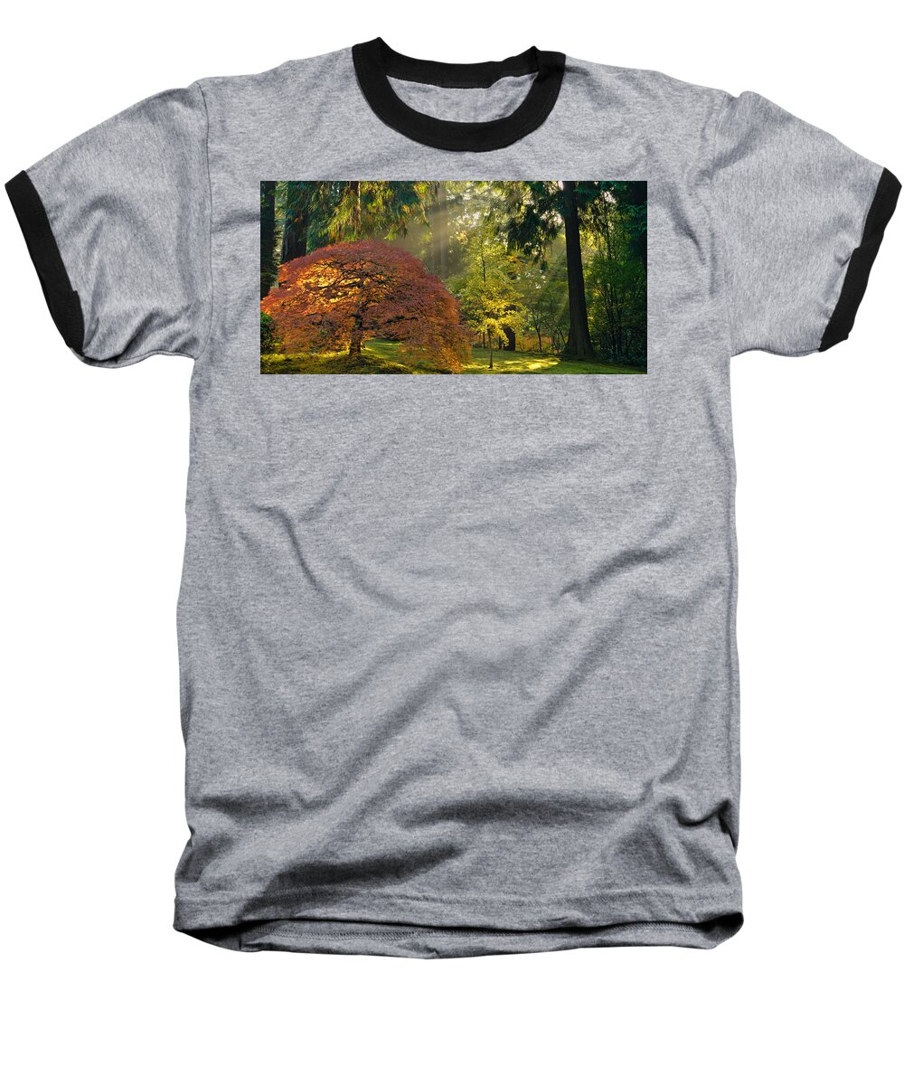 Japanese Maple Baseball T-Shirt featuring the photograph Bathed in Morning Light by Don Schwartz