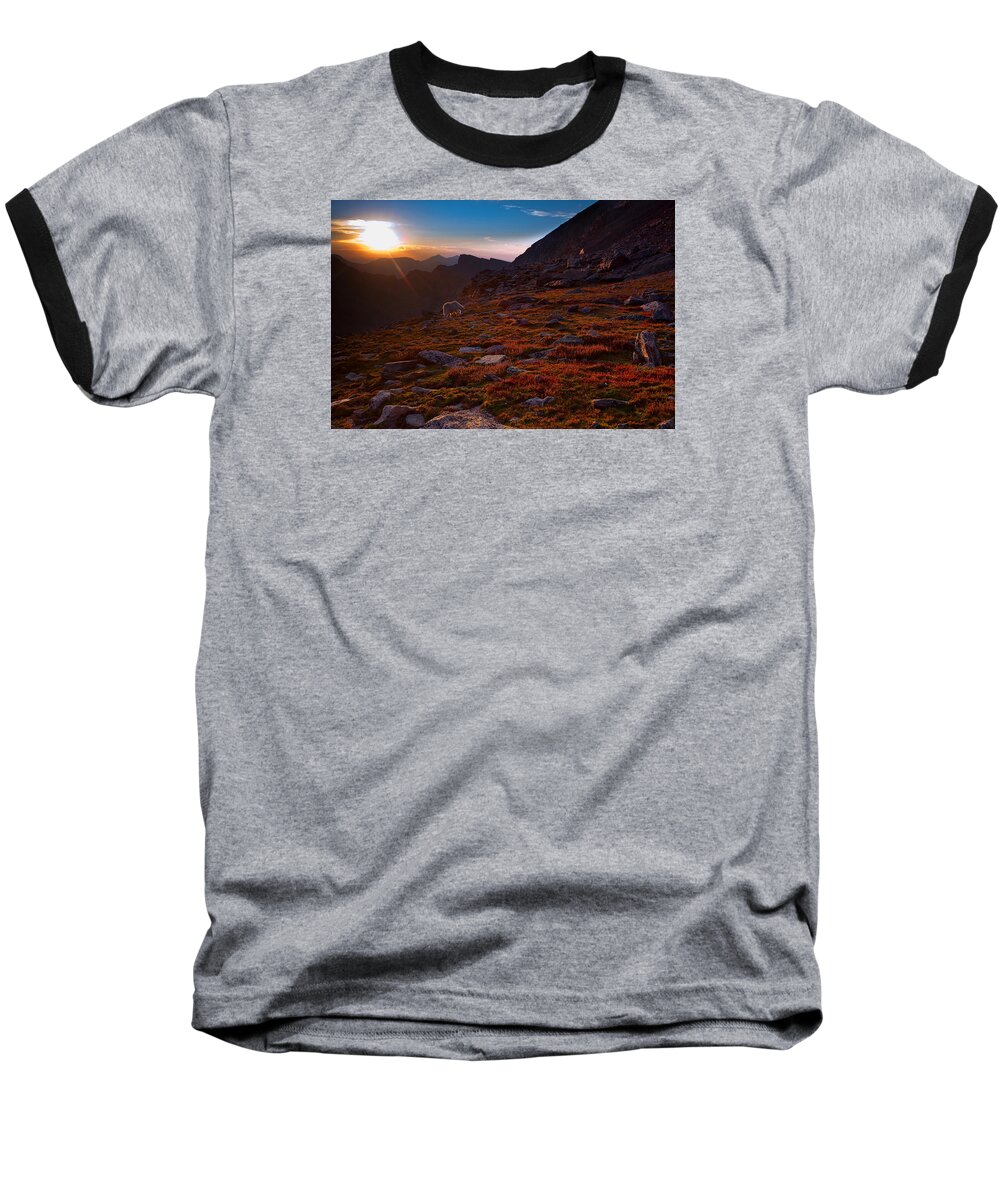 Mountain Goats Baseball T-Shirt featuring the photograph Bathing in Last Light by Jim Garrison