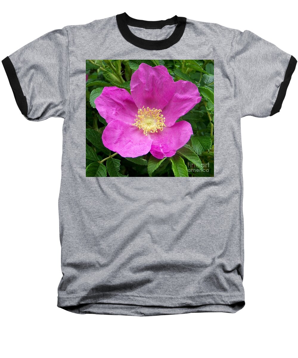 Green Baseball T-Shirt featuring the photograph Pink Beach Rose Fully In Bloom by Eunice Miller