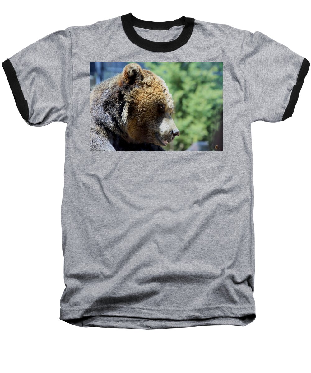 Bear Baseball T-Shirt featuring the photograph Bear by Chris Thomas