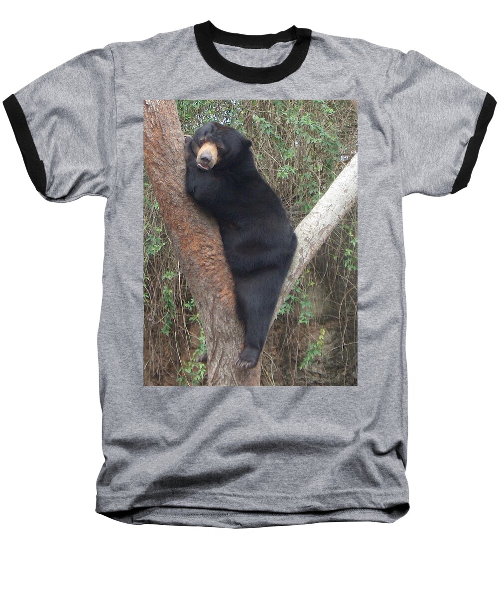 Bear Baseball T-Shirt featuring the photograph Bear In Tree  by Bertie Edwards