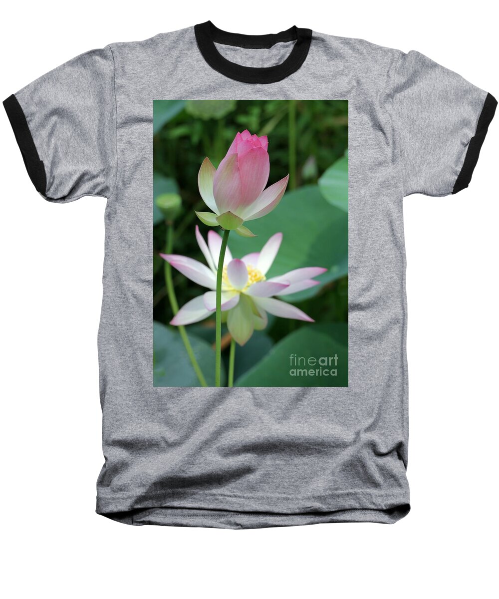 Lotus Baseball T-Shirt featuring the photograph Beautiful Lotus Blooming by Sabrina L Ryan